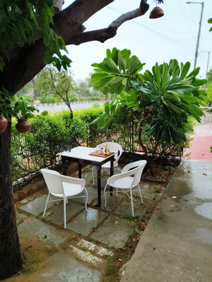The Salt Cafe and Restaurant