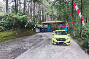 2 días desde Yakarta: de la montaña de Bogor a las vistas de la montaña de Bandung