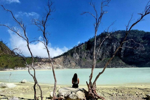 Bandung : Private Tour Guide Sightseeing (Costum tour)