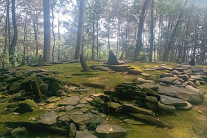 Tour por el Jardín Botánico de Bogor y el yacimiento megalítico de Domas