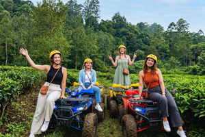 From Jakarta - Ciwidey ATV, Hot Springs & Tea Trails