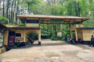 From Jakarta - Gunung Salak Waterfall & Rice Terrace