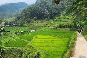 Guided Motorcycle Tour with Lunch and Coffee