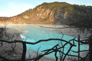 Jakarta/Bandung: White Crater, Hot Spring & Highlights Tour