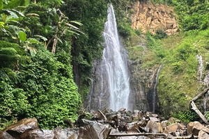 Jakarta: Botanical Garden & Rainforest Trekking to Waterfall