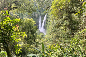 Yakarta: Senderismo por la selva tropical hasta una cascada y un puente colgante