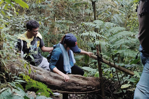 Jakarta to Bogor: Luhur Waterfall and Lake Lido Day Trip