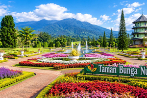 Excursie naar het Puncak-hoogland vanuit Jakarta
