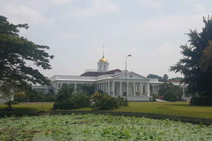 The Beautiful Garden, Rice Terrace and Waterfall In Bogor