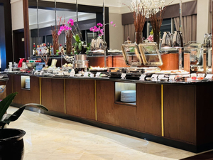 Discovery lounge Hotel Borobudur