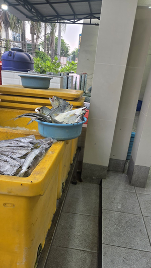 Marco Seafood
