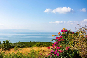 From Jerusalem: Galilee Day Tour
