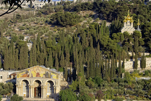 Från Tel Aviv: Dagsutflykt till Kristi ursprung i Jerusalem