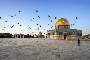 Jerusalem: Temppelivuori ja Kallion kupoli opastettu päiväretki.