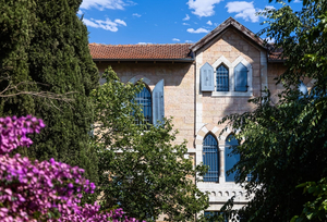 Villa Brown Moshava