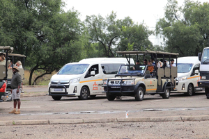 3-Day Tlou Tented Safari in Pilanesberg