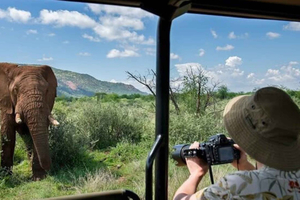 4-dagers safari i Pilanesberg med Big Five og leir