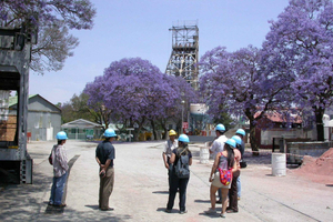Cullinan Diamond Mine & Pretoria Full Day Tour