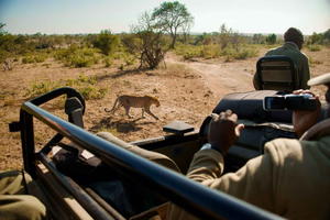 Dinokeng Safari with Transfer