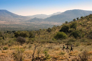 De Joanesburgo: Expedição de 2 dias a pé no cerrado de Pilanesberg