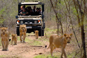 From Johannesburg - 2-Day Zulu Waters Game Reserve Safari