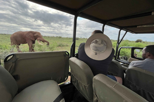 Safari de 3 dias no Kruger com tudo incluído a partir de Joanesburgo