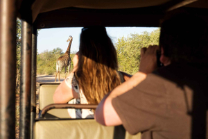 From Johannesburg: 3-Day Budget Tent Kruger Park Safari
