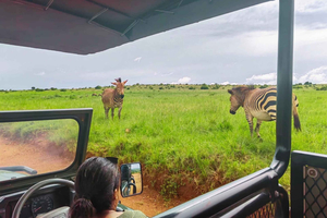 From Johannesburg: Rhino & Lion Safari and Wonder Cave Tour