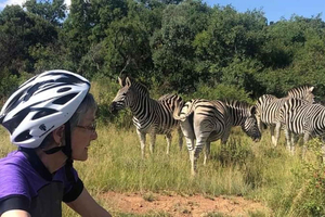 De Pretória: E-Bike na selva com jogo perto de Jo'burg
