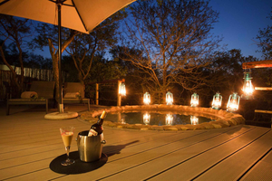Johannesburg: 6-Day Luxury Kruger National Park Safari