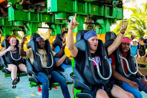 Йоханнесбург: парк развлечений и экскурсия по шахте Gold Reef City