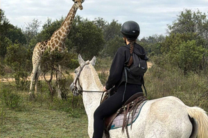 Jozi: safari guidato a cavallo nella natura selvaggia africana