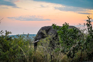 kruger nasjonalpark 2 dager