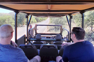 Pilanesberg National Park: 2 Day, 1 night Guided Safari