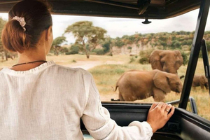 Pilanesberg: aventura de acampamento de dois dias saindo de Joanesburgo