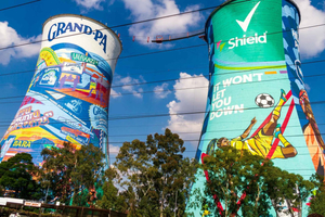 Soweto Towers Thrill Experience With Views