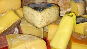 Cheese Gourmet