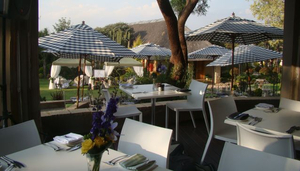 EnGedi Bistro and Conference Centre