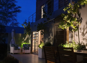Hadeda Hall Guest House