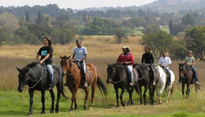 Klipriviersberg Nature Reserve