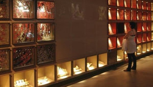 Origins Centre