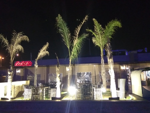 Palm Continental Hotel