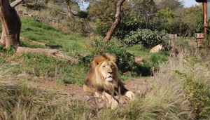 Pretoria Zoo