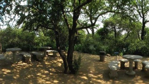 Skukuza Picnic Site