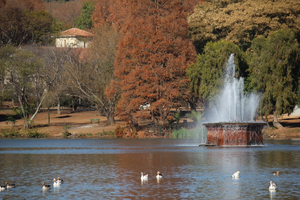 The Boathouse Club