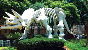 The Ditsong National Museum of Natural History