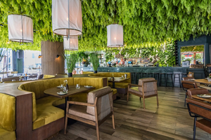 The Greenhouse Sandton