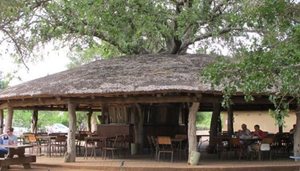 Tshokwane Picnic Site