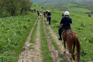 Almaty: Horseback Riding in the Ile-Alatau Mountains