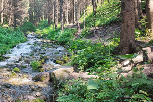 Almaty in a Day: Mountains and City Highlights